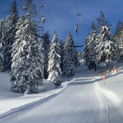 Du liebst den Schnee und die Arbeit mit Gästen und hast ein Flair für administrative Arbeiten? Wir suchen Personen, die an der Kasse mitarbeiten und damit den Dreh- und Angelpunkt im Selital managen. Werde Teil von unserem tollen Team!